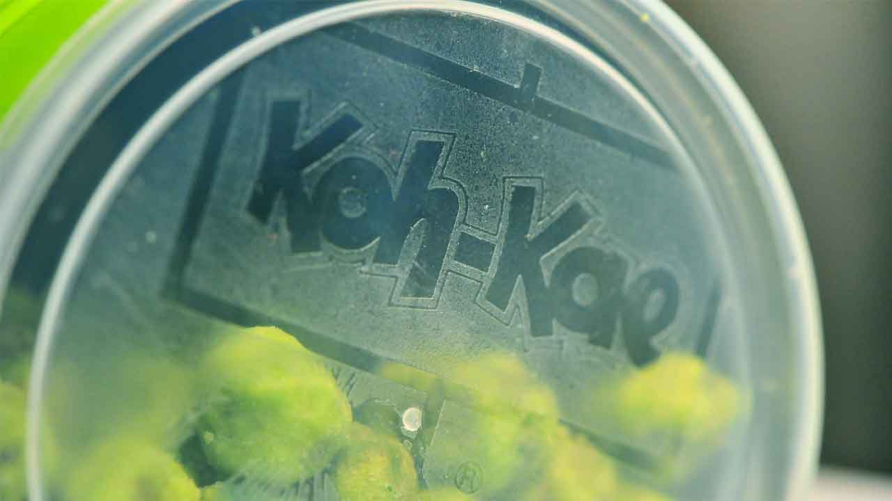 10 Oleh-Oleh Khas Thailand yang Wajib Dibawa Pulang Saat Liburan!